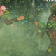 Illustration for article titled Borderlands 2’s Final Free DLC Is A Whole Lot